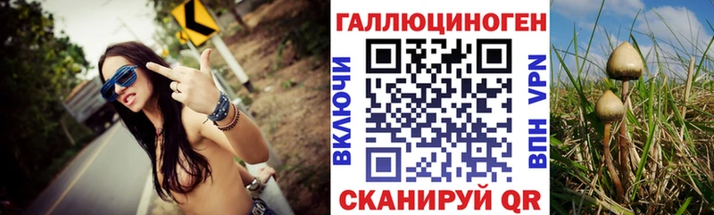 Псилоцибиновые грибы мухоморы  где продают наркотики  Сегежа 